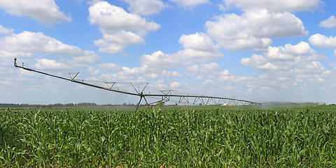 Image showing irrigation system for agriculture