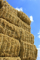 Image showing haystack