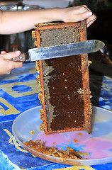 Image showing Honey