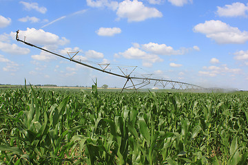 Image showing irrigation system for agriculture