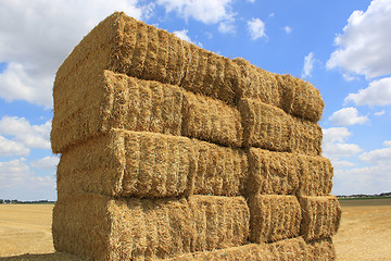 Image showing haystack