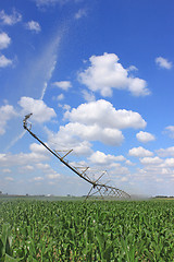 Image showing irrigation system for agriculture