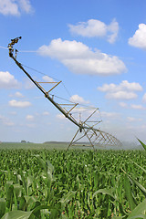 Image showing irrigation system for agriculture