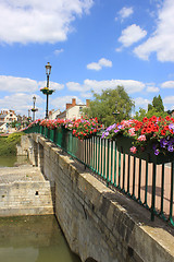 Image showing flower bridge