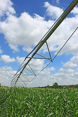 Image showing irrigation system for agriculture