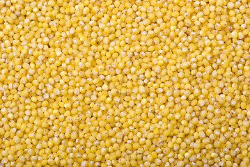 Image showing Raw millet