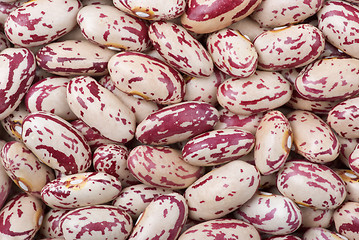 Image showing Spotty white-red haricot beans (macro)