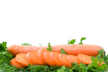 Image showing Ripe fresh long carrot and slices over some parsley