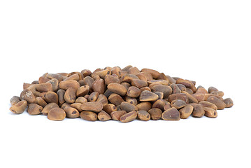 Image showing Small pile of cedar nuts