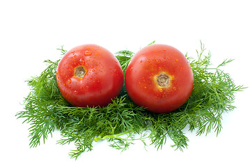 Image showing Pair of  tomatoes over some dill