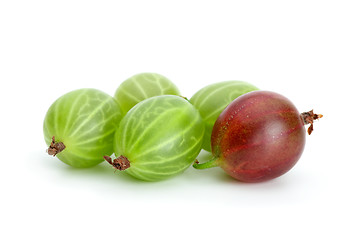 Image showing Some green and red gooseberries