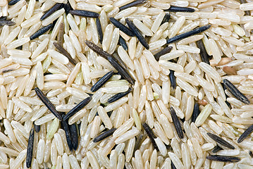 Image showing White and black uncultivated rice