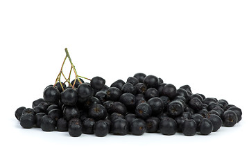 Image showing Pile of black chokeberries 