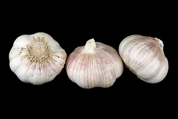 Image showing Some garlic
