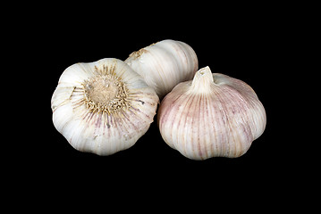 Image showing Three garlics