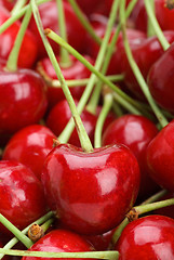 Image showing Red cherries with stalks