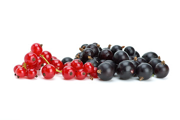 Image showing Some blackcurrants and redcurrants berries