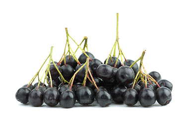 Image showing Few black chokeberry clusters