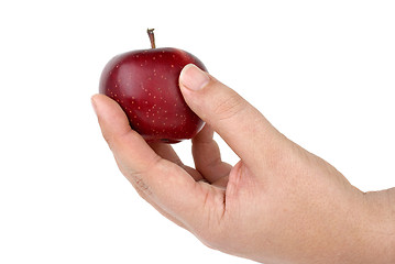 Image showing Hand holding small red apple