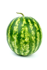 Image showing Stripy green watermelon