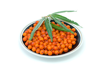 Image showing Saucer filled with sea-buckthorn berries and some leaves