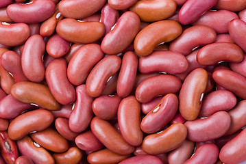 Image showing Red haricot beans 