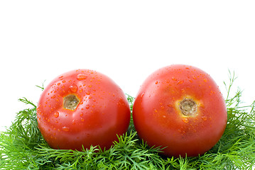 Image showing Pair of ripe tomatoes over some dill