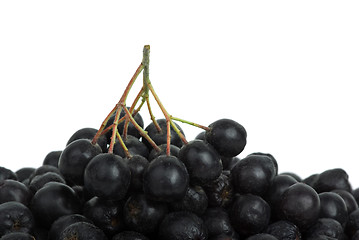 Image showing Black chokeberry cluster on top of berries pile