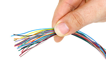 Image showing Hand holding bunch of different colored wires