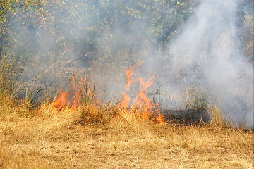 Image showing fire,