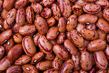 Image showing Spotty red haricot beans