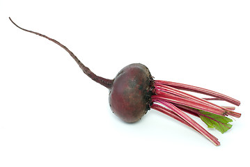 Image showing Red beet