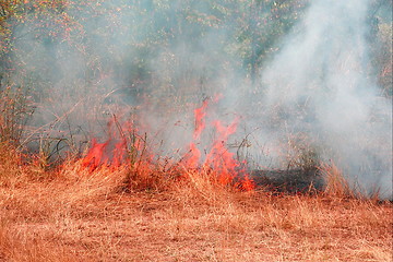 Image showing fire,