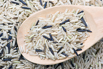 Image showing Raw white and black uncultivated rice and wooden spoon