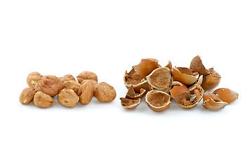 Image showing Pile of shelled hazelnuts and shells