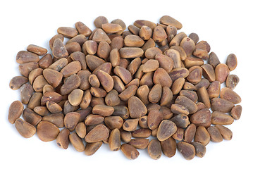 Image showing Pile of cedar nuts