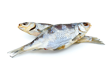 Image showing Two salted sea roach fishes