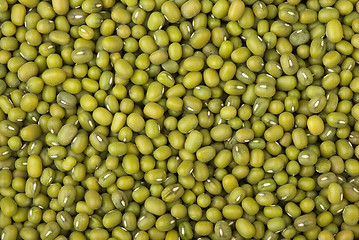 Image showing Green mung beans