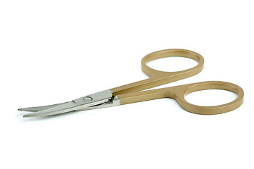 Image showing Nail scissors