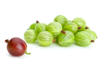 Image showing Pile of green gooseberries and one red alone