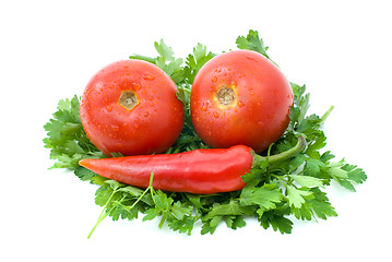 Image showing Two ripe tomatoes and red hot chili pepper over some parsley