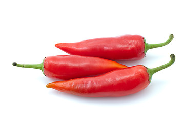 Image showing Three red chili peppers