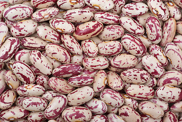 Image showing Spotty white-red haricot beans