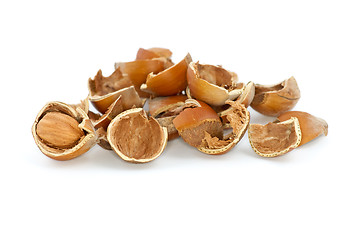 Image showing Small pile of hazelnuts shells and one cracked