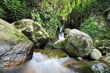 Image showing Waterfall making its way into a pond in the rainforest 