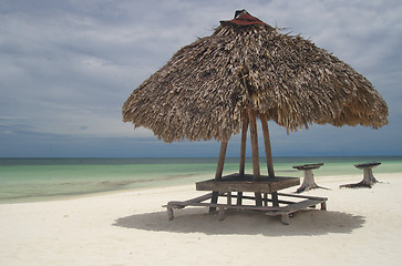 Image showing Natural umbrella at the beach