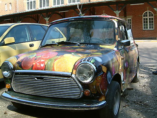 Image showing Sweet Morris Mini