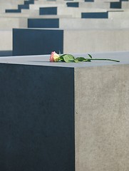 Image showing Rose and Holocaust Memorial