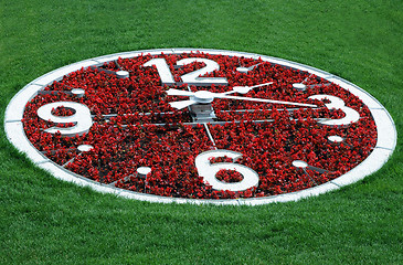 Image showing Flower Clock Against Lawn Background