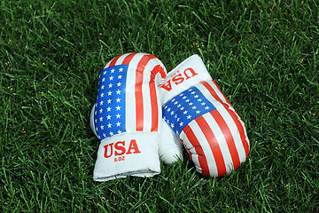 Image showing Boxing Gloves on the Grass 